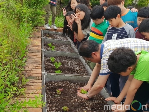 서울시립강동청소년수련관 청소년방과후아카데미 두빛나래, 쑥쑥 건강먹거리 텃밭 운영