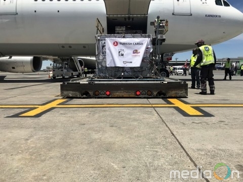 터키항공 카고, 서커스 현장에서 구출된 ‘사자’ 자연의 품으로